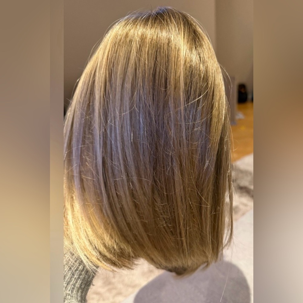 Jon Renau SmartLace Alison 5735 Wig Color 12FS12 - Picture 3 of 8